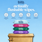 Elora Wipes  Fragrance-Free, 48 Count